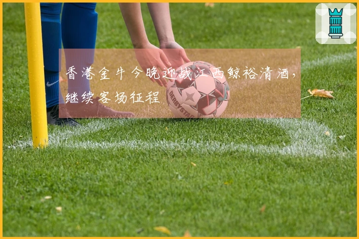 香港金牛今晚迎战江西鲸裕清酒，继续客场征程